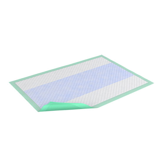 Essity TENA Underpad Premium, Green, 29.5" x 29.5" (61312)