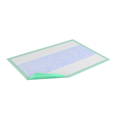 Essity TENA Underpad Premium, Green, 29.5" x 29.5" (61312)