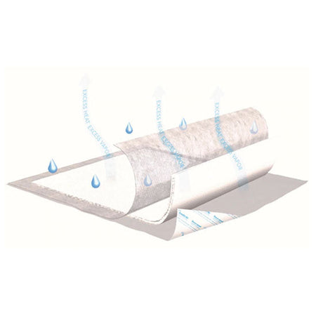 Essity TENA InstaDri Air Securepad, White, 30" x 36" (61314)