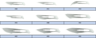 Feather Conventional Disposable Sterile Scalpels, #10 (2976#10)